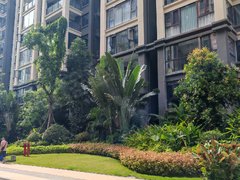 西双版纳景洪曼弄枫雨林时光 1室1厅1卫出租房源真实图片