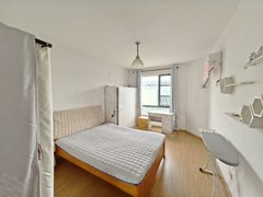合肥政务市政务办公区电梯南北通透两房 国际花都郁金苑 市政务中心 蔚蓝商务港出租房源真实图片