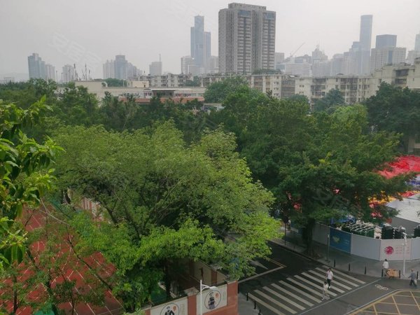 深圳福田园岭园岭新村园岭新村3房出租有钥匙南北通透,客厅出阳台朝南