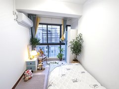 合肥蜀山贵池路新粮仓 大溪地1912 猫 大溪地 朝南单间出租房源真实图片