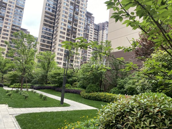 贵阳花溪清溪路阳光花园(花溪)阳光花园精装大三房出租出租房源真实