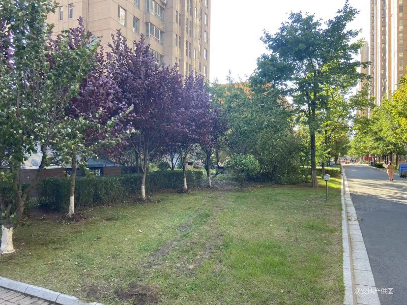 江南 万科城b区 精装修 满五   南北通透两居 拎包入住