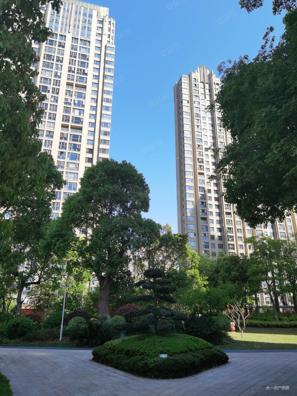 滨江壹号 温州副中心 鳌江北外滩 浙南陆家嘴,滨江壹号二手房,208万,3