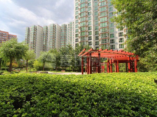 【多图】世纪新景园,北洼路租房,西三环,北洼路,南北通透,位置安静