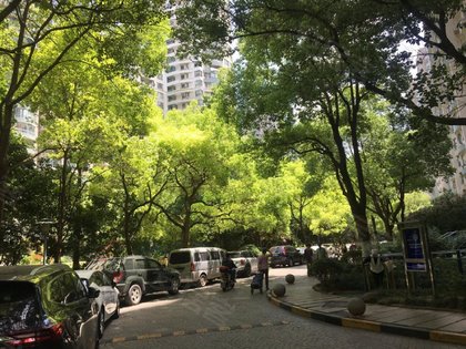 达安花园,长寿路999弄1-66号 - 上海达安花园二手房,租房,房价-上海