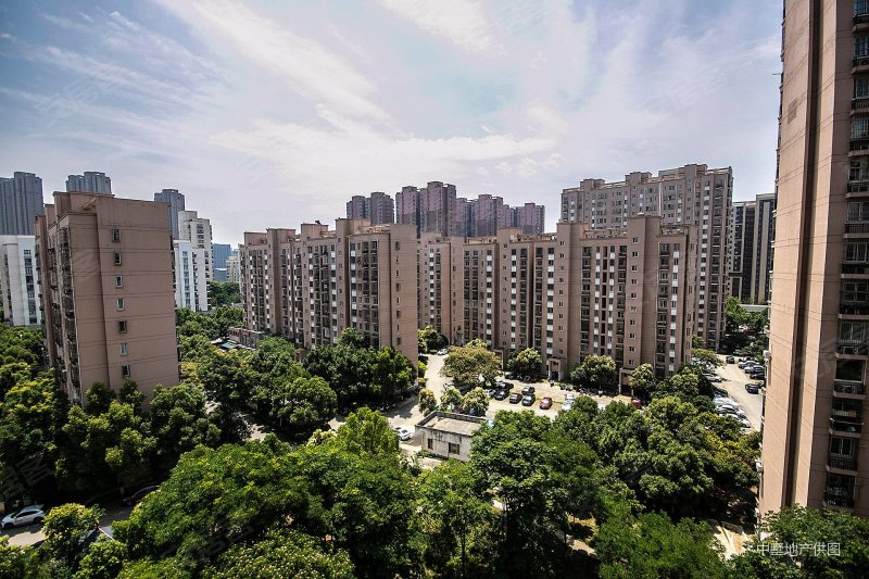 新海家园a区商业配套齐全有电梯交通便利刚需小三居