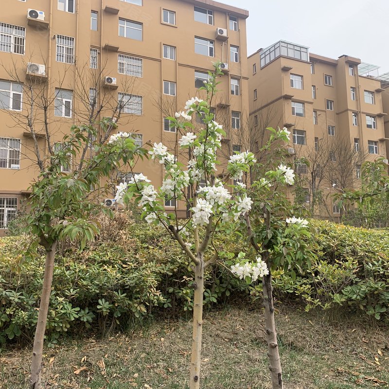 港府花都a区小区详情,房价走势,房源,业主论坛】- 运城58同城