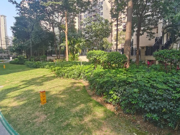 佛山南海城市广场金地珑悦花园金地珑悦 南向横厅户型 采光通风好出租