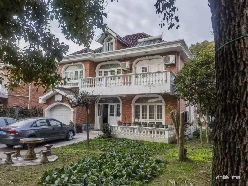 独栋别墅  院子600平   这个价格上独栋!