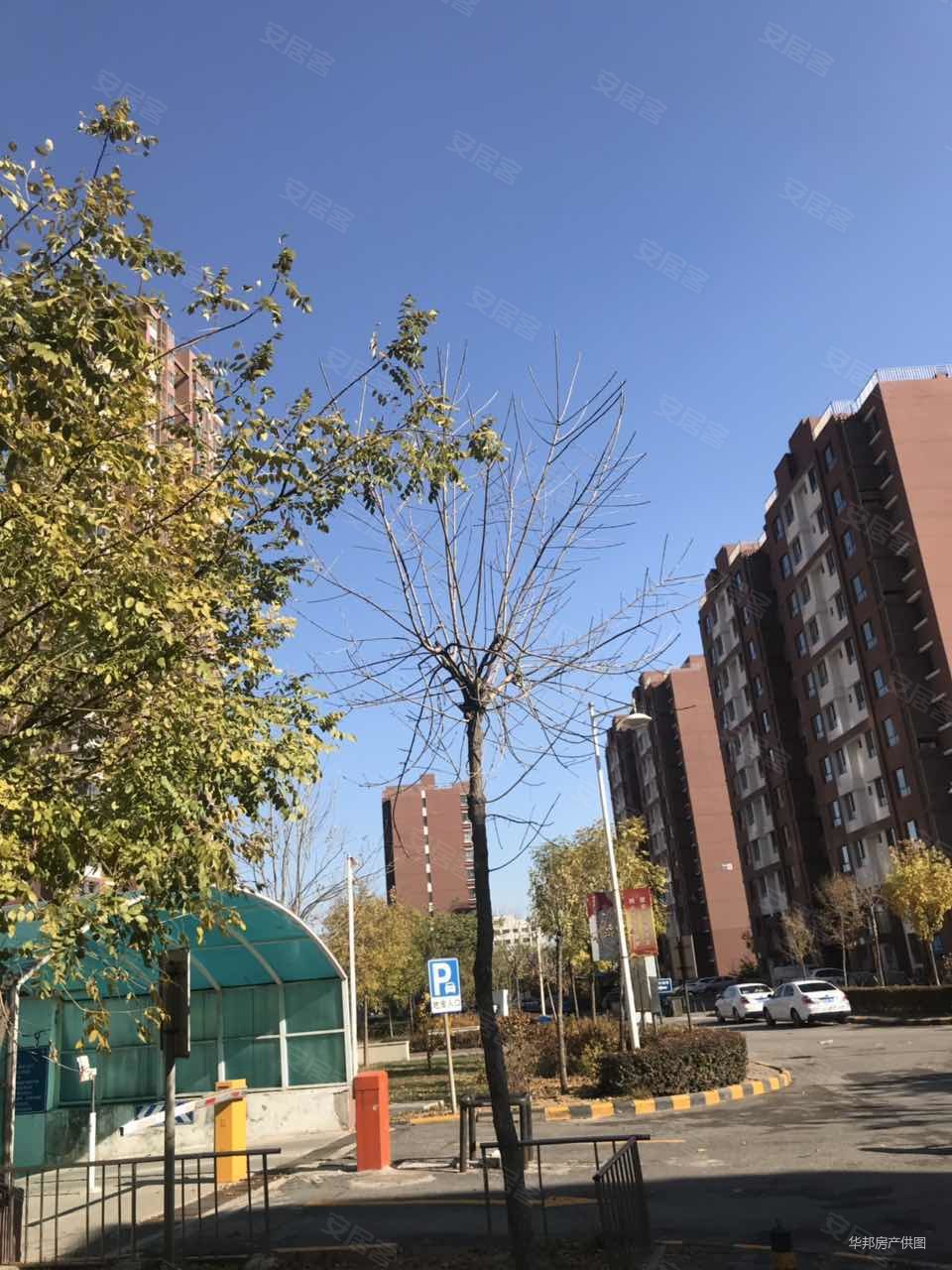 落户房 无遮挡 首付只需12万 直接参加天津高考 中心位置,泽惠园二手