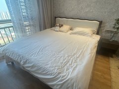 常熟市区文化片区世茂世纪中心(商住楼) 1室1厅1卫  电梯房 精装修出租房源真实图片