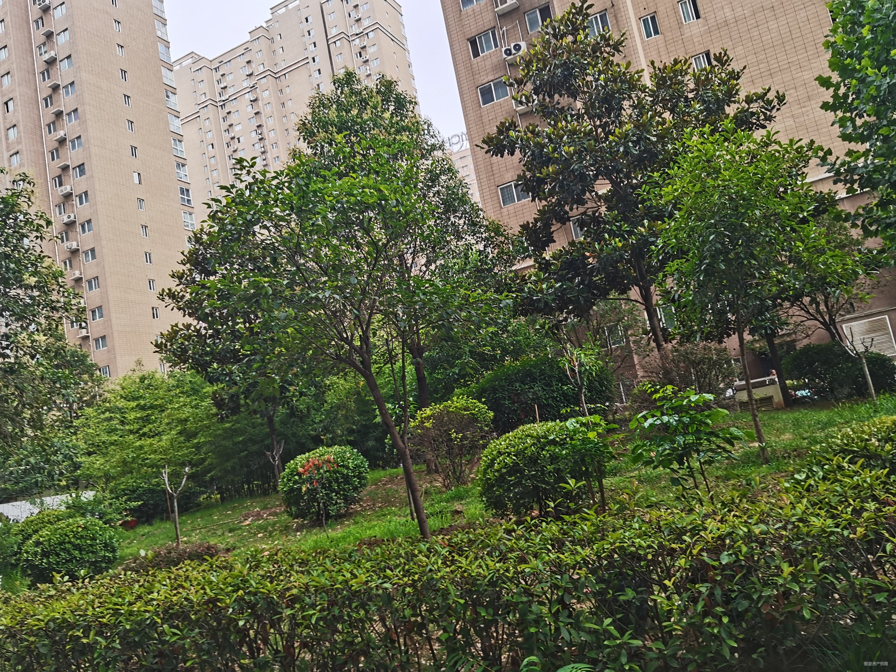 洛阳房产网>洛阳二手房>洛龙二手房>泉舜财富中心二手房>隆安富阳花园
