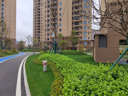 碧桂园生态城东境