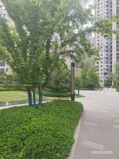 浐河 边 性价比小三室 南向视野 开阔,周边环境优美,御锦城悦珑湾二手