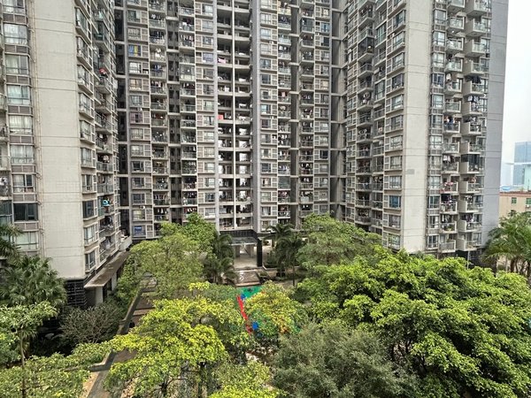 【多图】华南西苑,平湖租房,华南西苑 3室2厅2卫 精装修 南北通透
