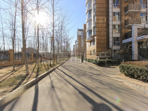 北京海淀四季青汤泉逸墅南北通透 4室2厅  汤泉逸墅出租房源真实图片