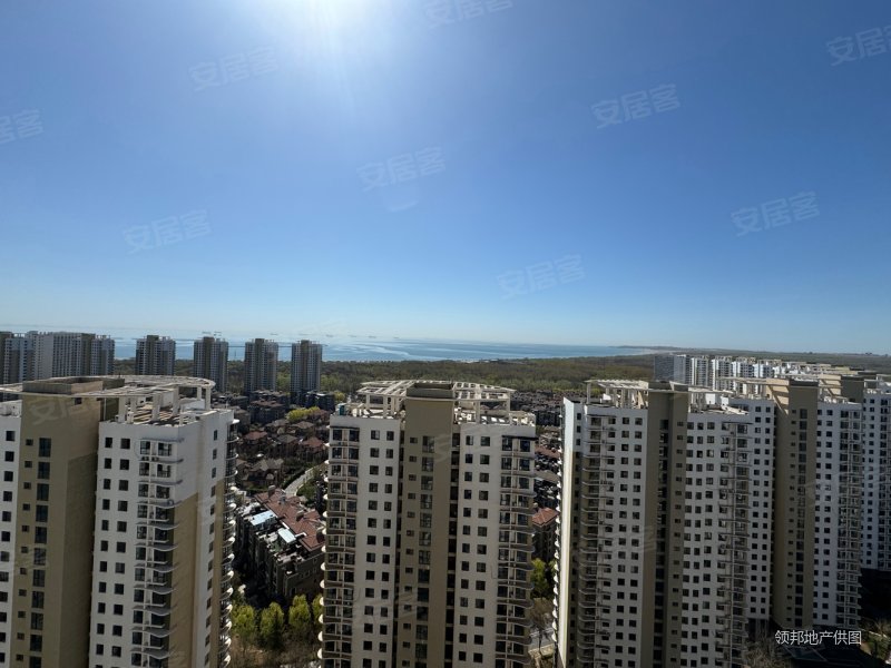 8万森林逸城c区海景 两居全阳毛坯带车位老本