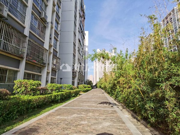 【多图】凤岭春天,凤岭北租房,地铁口,精装配齐大三房诚意出租,青秀