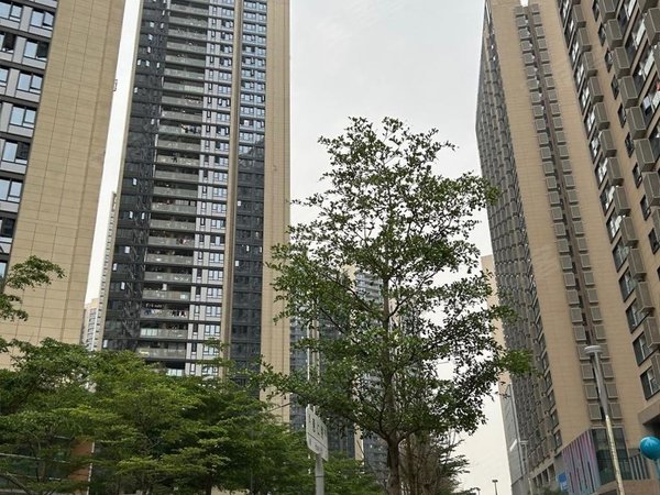 万科星城(楼) 1室,装修不错,有家具的!,宝安租房-深圳58安居客