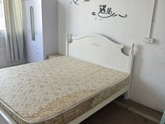 温州瑞安塘下房子在北大桥中兴北街29出租房源真实图片