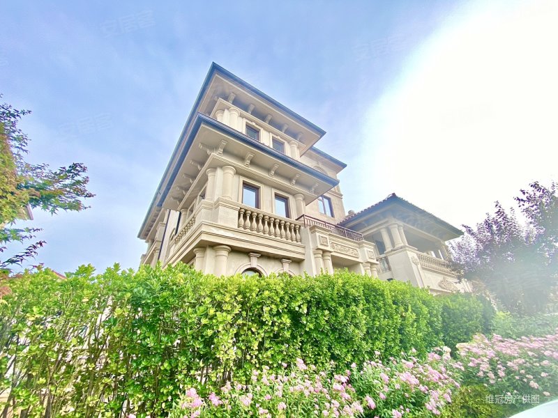 东李大产权 独栋现房别墅 世博园旁 山景别墅 大面积私家庭院