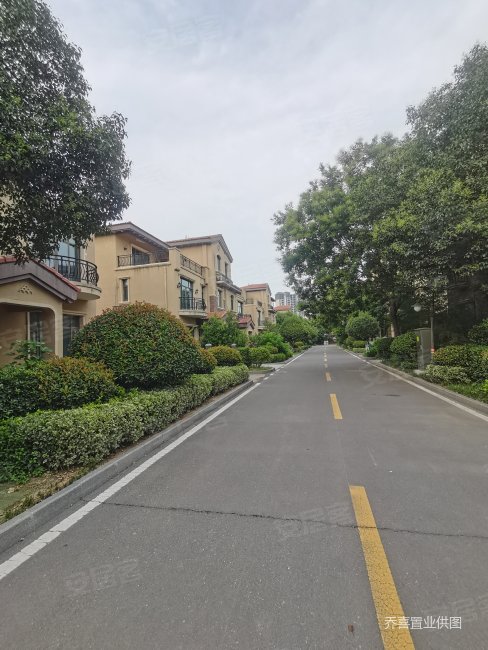 一口价 超急售满二 碧桂园别墅一 一套,洛阳碧桂园(别墅)二手房,216万