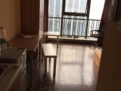 武汉沌口开发区体育中心经开万达SOHO公寓 1室1厅1卫出租房源真实图片