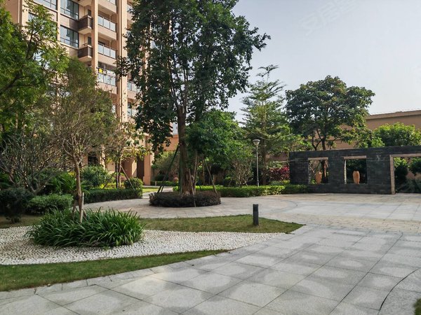 中山火炬开发区张家边泰瑞居火炬租房卓雅学校旁边泰瑞居三房两卫空房