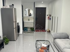 柳州城中城中地王附近有一房一厅 押一付一  家电齐全  拎包入精装修出租房源真实图片
