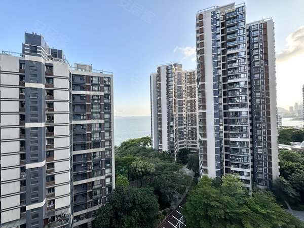 深圳南山蛇口半岛城邦(一期)半岛城邦 我该怎么形容这个房很哇噻!