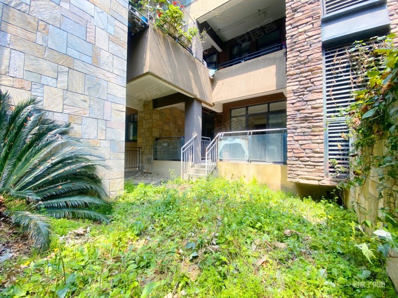 朝南花园洋房花园种了折耳根龙城1号单价14