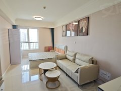 银川兴庆丽景街蓝泰广场旁玺悦公馆精装一居室公寓出租拎包入住出租房源真实图片