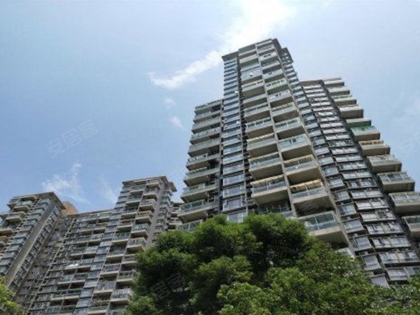 深圳坪山坪山香江花园比亚迪对面 走路上班 的一房一厅,带燃气小区