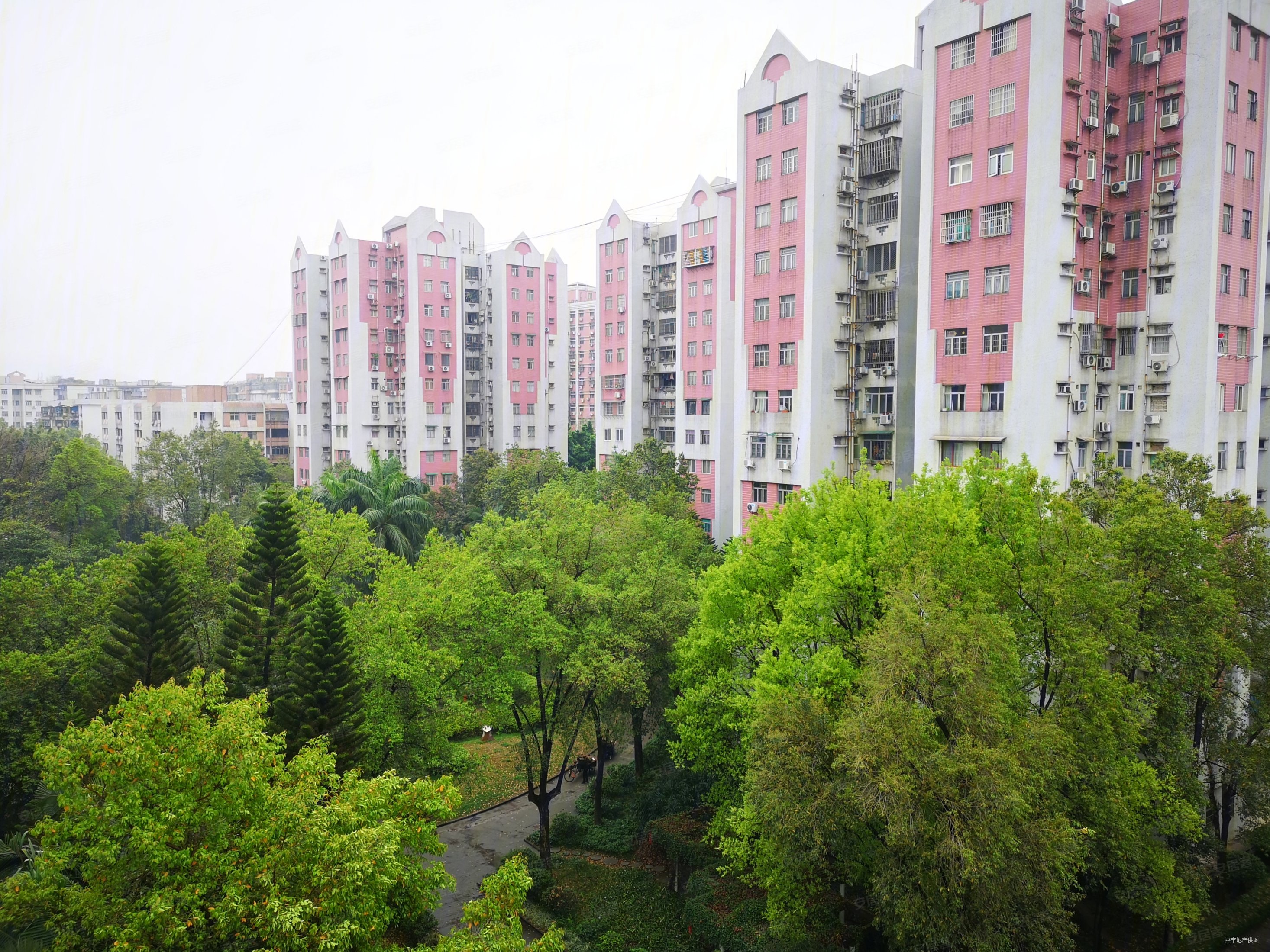 小区中心,东向望花园,黄石花园二手房,206万,2室1厅,1卫,78平米-广州