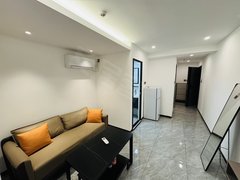 深圳南山南油南油奢华一房急租 押一付一民水电家私齐全拎包入住！出租房源真实图片