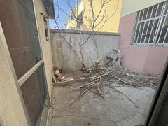沂源城区银座二中附近一楼带院,年租9000有空调出租房源真实图片