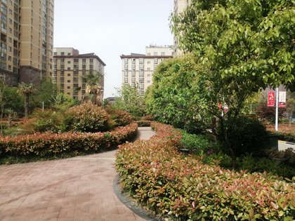 鼎鑫鑫悦广场,文峰中路 - 许昌鼎鑫鑫悦广场二手房,租房,房价-许昌