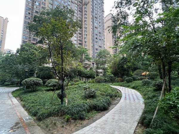 成都高新区中和龙祥佳苑三期高新中和近地铁6号线标准电梯套一家具