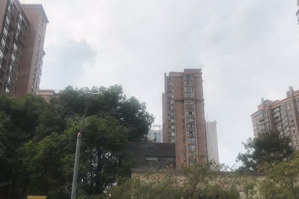 宝华现代城 二期 广延路555弄 上海宝华现代城 二期 二手房 租房 上海安居客