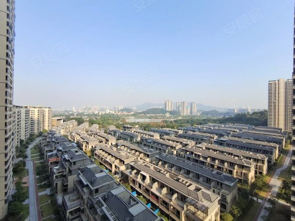 江门鹤山市中山路绿地公园城!笋笋笋首租!