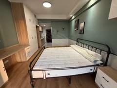 蚌埠禹会光彩大市场市中心张公山万达旁 观澜瑞公馆 精装公寓 领包入住 随时看房出租房源真实图片