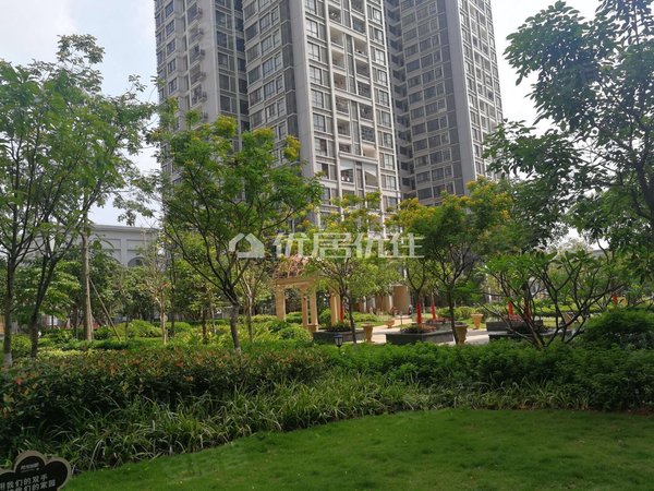 南宁良庆良庆周边阳光尚都玉洞小学 阳光尚都精装三房配齐出租 电梯房