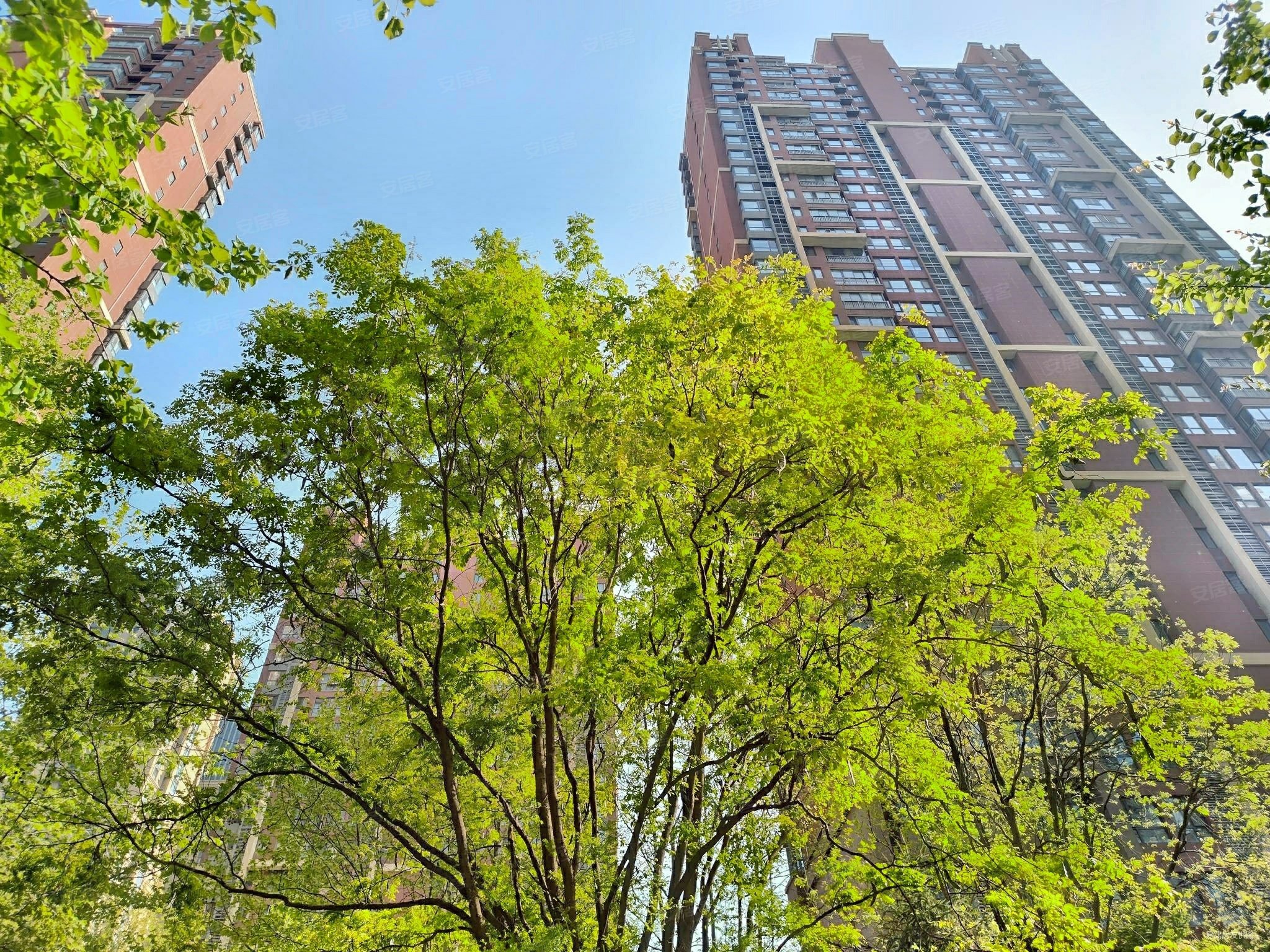 地铁口紫薇曲江意境149平精装三居南北通透全新看房方便