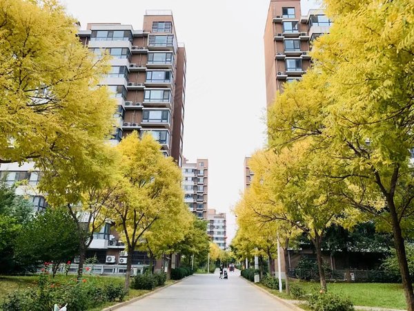 进贤翠谷玉景苑玉泉航天医院翠谷玉景园单间 高能所中科院玉海园女生