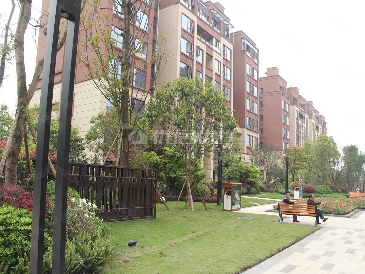 带花园 大学城核心位置 清水洋房 环境好 一梯一户 带车位,康田紫悦府