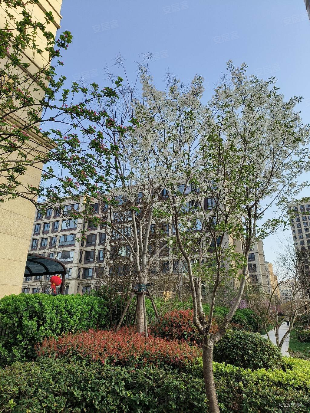 徐州房产网>徐州二手房>睢宁二手房>睢宁城区二手房>蓝城东方兰园>