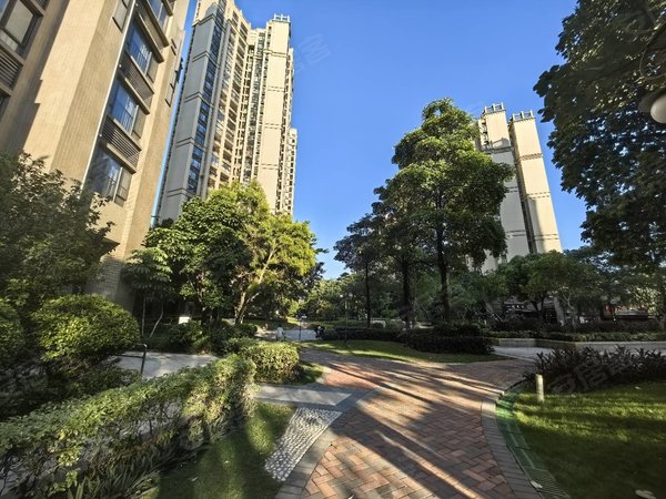 广州花都新区保利花城哇!