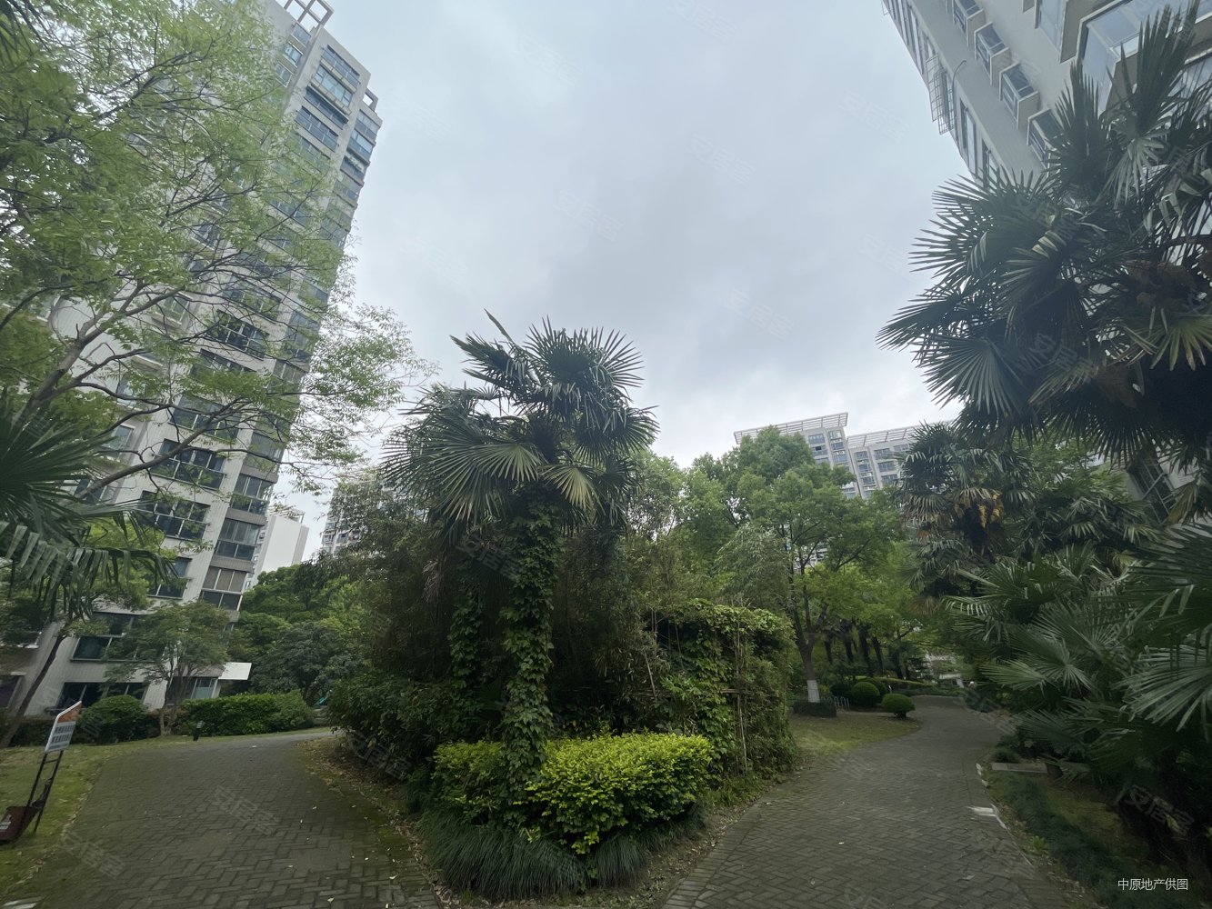 中邦城市 大三房 随时看房  位置 楼层佳 价格有惊喜