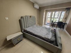 桃源逸景公寓 可短租 可押一付一 1200包取暖物业空调