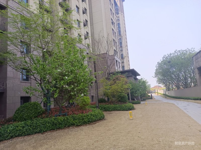 建业尊府4室2厅2卫142.2㎡南北145万